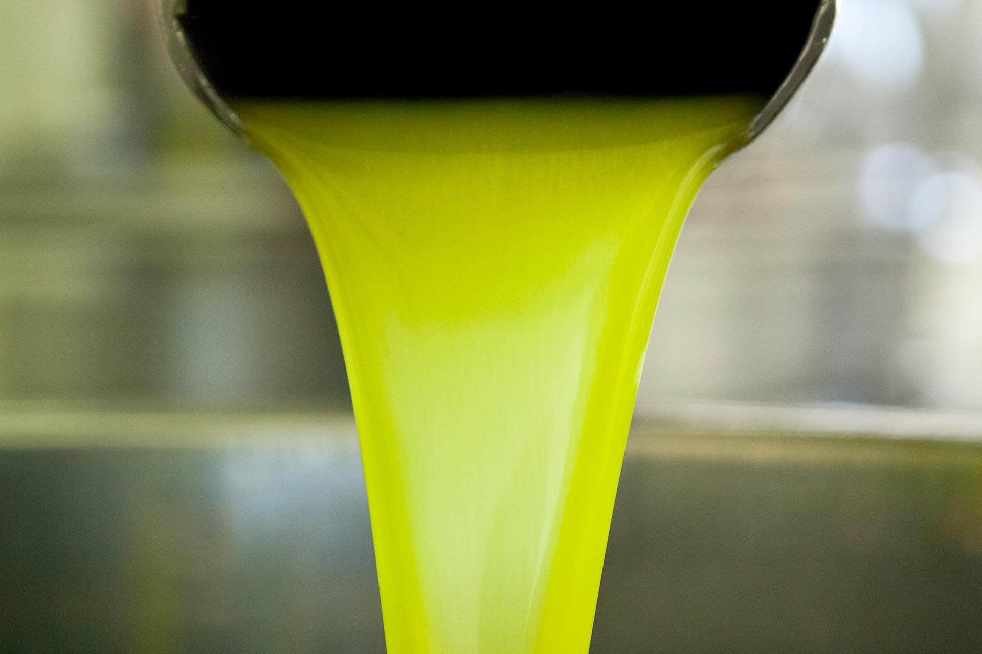 Comment fabrique-t-on les huiles d’olive « Terroirs de l’Olivier » ?